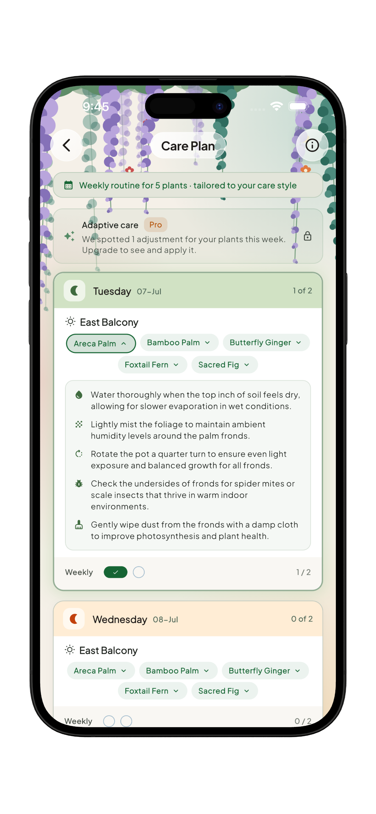 A personalised weekly plant care plan